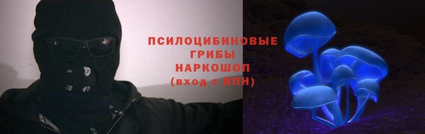 mix Белокуриха