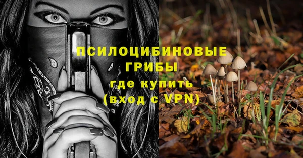 ГАЛЛЮЦИНОГЕННЫЕ ГРИБЫ Белоозёрский