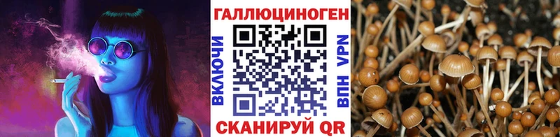 Псилоцибиновые грибы Cubensis  наркошоп  shop наркотические препараты  Бутурлиновка 