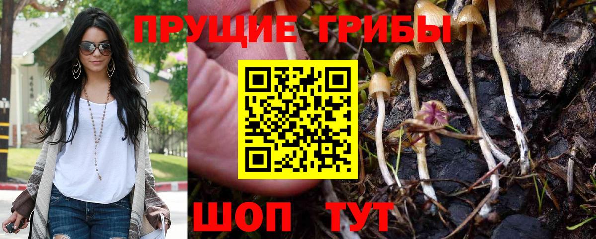 Галлюциногенные грибы Magic Shrooms  Вход с VPN  Бутурлиновка 